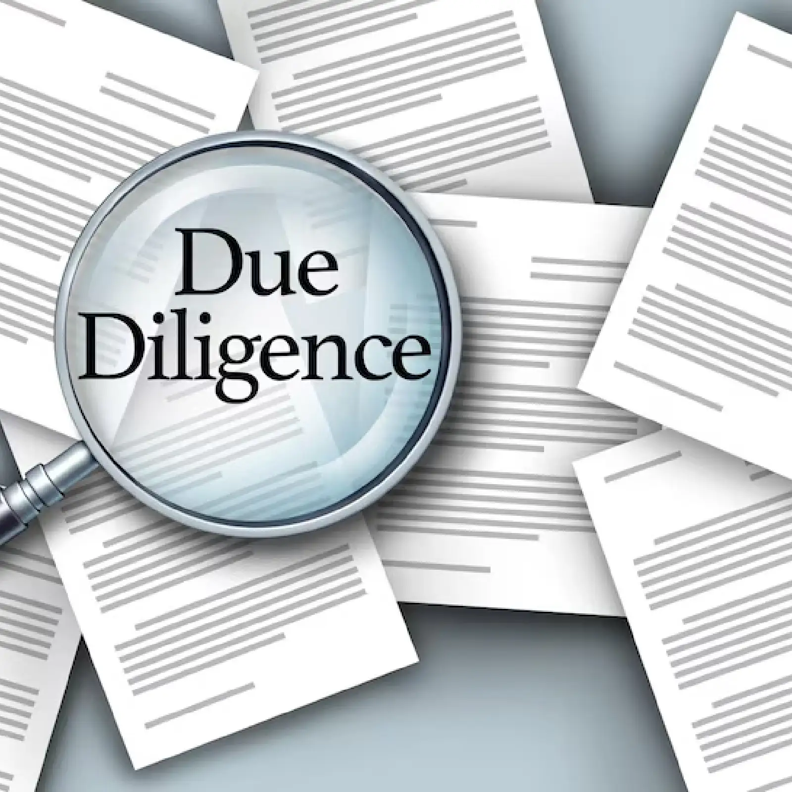 Document Review & Due Diligence