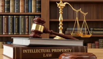 Intellectual Property Rights
